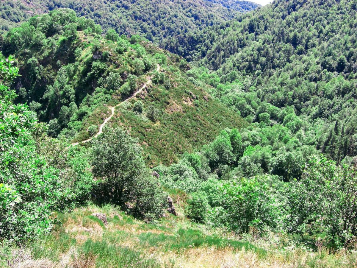 Félines Le Bos Clard 빌라 외부 사진
