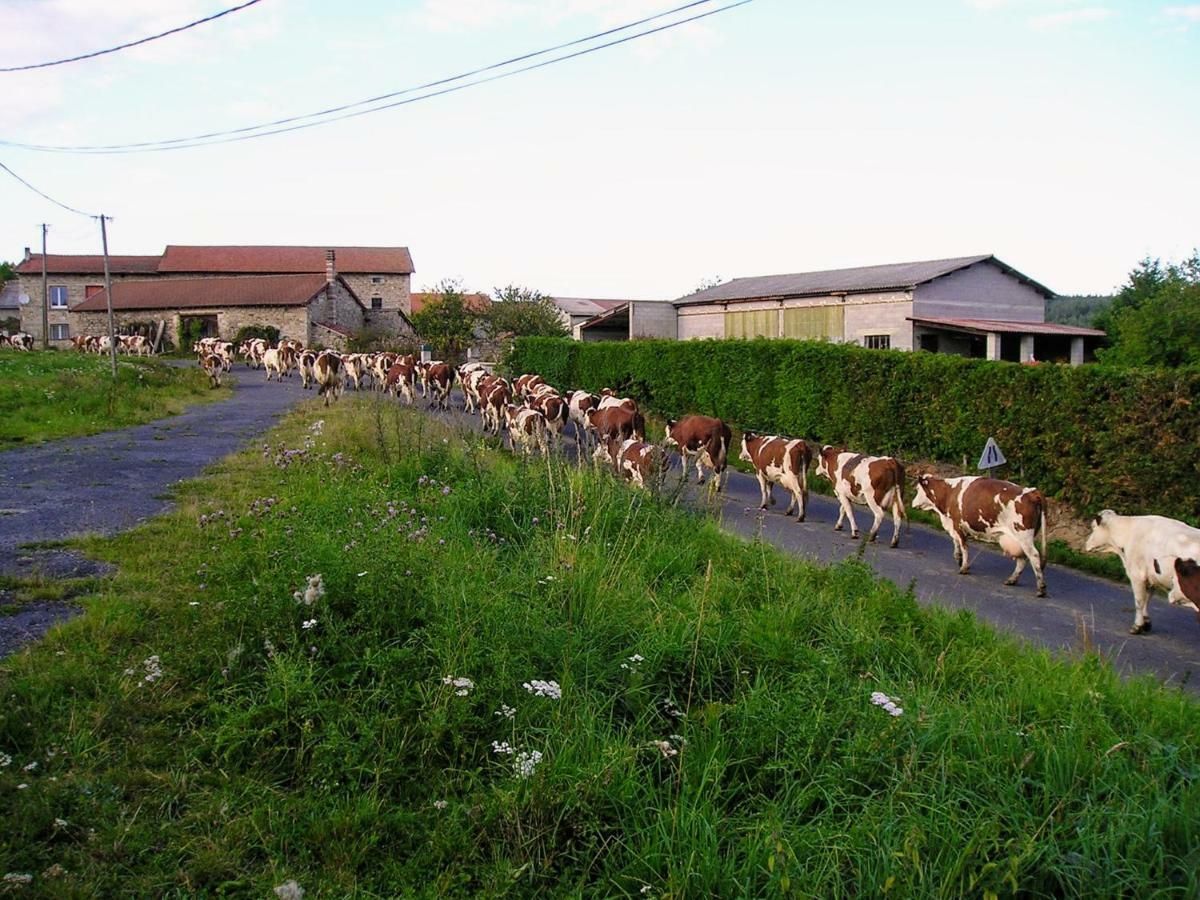 Félines Le Bos Clard 빌라 외부 사진